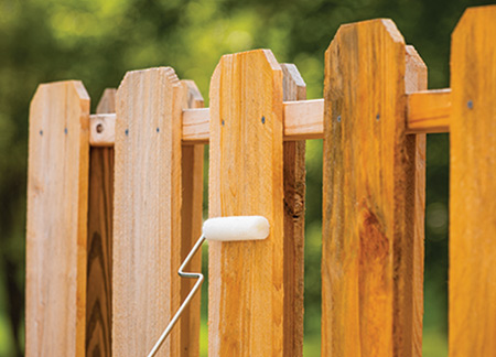 Old Deck Prior to Staining, Closeup