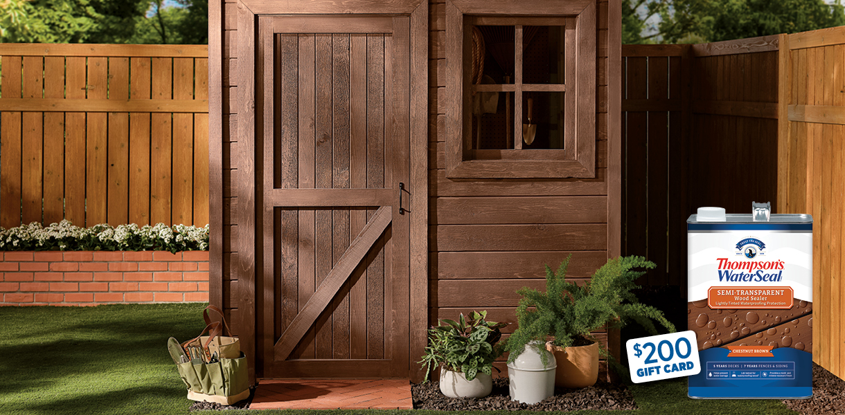 Backyard shed and fence sealed in two different colors.