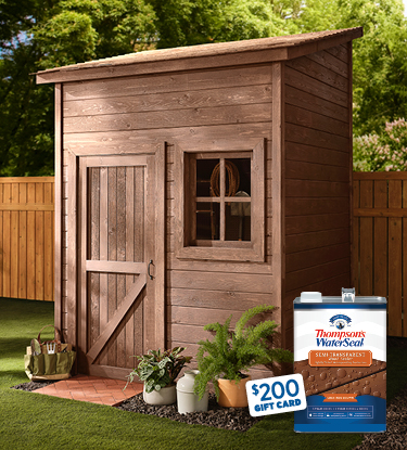 Backyard shed and fence sealed in two different colors.