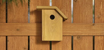 Stained birdhouse on stained fence. 