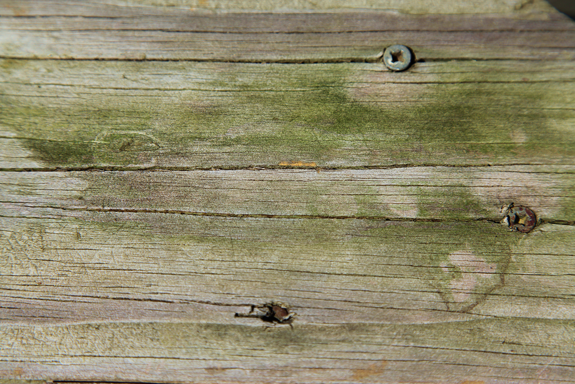 Old Deck Prior to Staining, Closeup